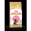 ROYAL CANIN Maine Coon Kitten granule pre mačiatka Mainské mývalie do 15 mesiacov - 2 kg