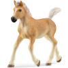 Schleich 13951 zvieratko kôň Haflingerské žriebä