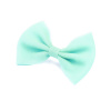 Sponka do vlasov - Mašlička, mätová