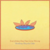 Bombay Bicycle Club - Everything Else Has Gone Wrong / Vinyl [LP]