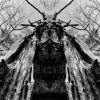 Rulaman - To Serve The Dune / Digipack [CD]