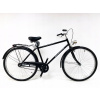 Mestsky bicykel - Univerzálne mužov 28 