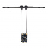 XR3 Nano Multi-Frequency Antenna Diversity ExpressLRS Receiver (RadioMaster) Variant: Dual-Band