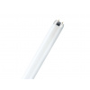Bellight Žiarivka T8 15W 865 studená biela 26x438mm