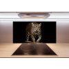 Sklenený panel do kuchyne Jaguar 100x50 cm
