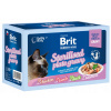 Brit Premium Cat Delicate Fillets in Gravy Family Plate Sterilised 12 x 85 g