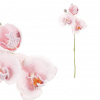 Autronic Orchidea - umelá rezaná, zasnežená, farba ružová KUC2606 PINK