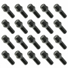 Skrutka Carbonado M14x1.50 kužeľová, kľúč 17 30 mm 20 ks