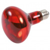 Trixie Infrared Heat Spot-Lamp red 100 W (RP 0,50 €)