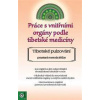 Práce s vnitřními orgány podle tibetské - Elvira Schneider