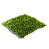 UMELÝ ŽIVÝ PLOT HAWAJ BUXUS HIGH ŽLTÝ STENA 100 X 100 CM