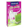 Vitakraft Cat Gras Tráva pre mačku 120 g