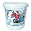 Orling Gelapony VitaMin 10,8kg