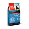 Granule ORIJEN ORIGINAL 6kg