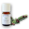 ARTTEC prírodný vonný olej Čierny smrek bio 10 ml NAT00008