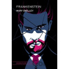 Frankenstein (Graphic Art Collector's Edition) - Mary Shelley