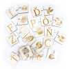 Libelula Písmenkáčik - Abecedné Puzzle – spájanie písmen a obrázkov (drevené)