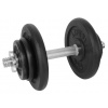 Činka nakladacia LIFEFIT jednoručná 17 kg