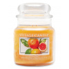 Village Candle Vonná sviečka - Svieži citrus, mini Doba hoření: 105 hodín