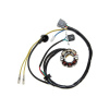 ELECTROSPORT ESL730 ELECTROSPORT ALTERNÁTOR VINUTIE (STATOR) SO SVETLAMI KAWASAKI KXF 250 (04), SUZUKI RMZ 250 (04) (Z IMPULZ