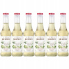 6 x Barmanský sirup MONIN Elderflower KVET ČIERNY BEZ 250 ml