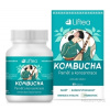 Liftea KOMBUCHA Pamäť a koncentrácia cps 1x60 ks Biomedica s.r.o. (CZ)