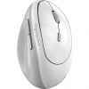 GENIUS Ergo 8350S White Grey 31030041401