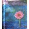 Samolepiaci fotoalbum 20/40 - gerbera