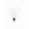 biOrb Sea Fan S biela 20 cm
