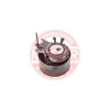 KLADKY ,16002-PCS-MS ,MASTER-SPORT
