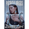 Ztraceni v zimě - Briggs Patricia
