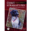 Český strakatý pes - Dagmar Jeřábková