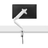 Fellowes Platinum Series Single Monitor Arm white (8056201)