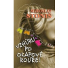 Vzhůru po okapové rouře - Miroslav Stoniš