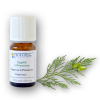 ARTTEC prírodný vonný olej Cypress de Provence bio 5 ml NAT00007