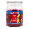 Haribo | Haribo Vonná svíčka Cherry Cola 510 g IG687639