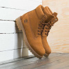 Tenisky Timberland Icon 6-Inch Boot Trapper Tan Waterbuck EUR 45.5 EUR 45.5