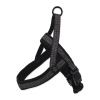 Postroj ACTIVE DOG Neoprene šedý XL