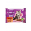 Whiskas Cat Junior Mäsový výber kura&hovädzie&jahňa&králik v šťave 4 x 85 g