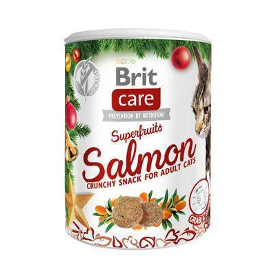 Brit Care Christmas Cat Superfruits 100 g