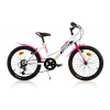 Dino Bikes 420D 2022