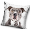 Carbotex Pitbull 40 x 40 cm