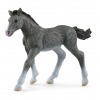 Schleich 13944 Žriebä trakénske