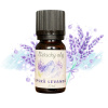 Aroma Natura Éterický Olej Alpská levanduľa - 10ml