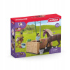 Schleich Umývačka pre kone Emily a Luna 42438