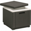 Keter chladiaci box Ice Cube 40 l, grafit