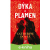 E-kniha Dýka a plamen - Catherine Doyle2