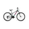 Juniorský bicykel DEMA Roxie 26 dark grey