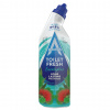 Astonish Gél na čistenie toalety Eucalyptus 750ml