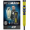Red Dragon Red Dragon šípky Gerwyn Price Avalanche Gold steel 22g